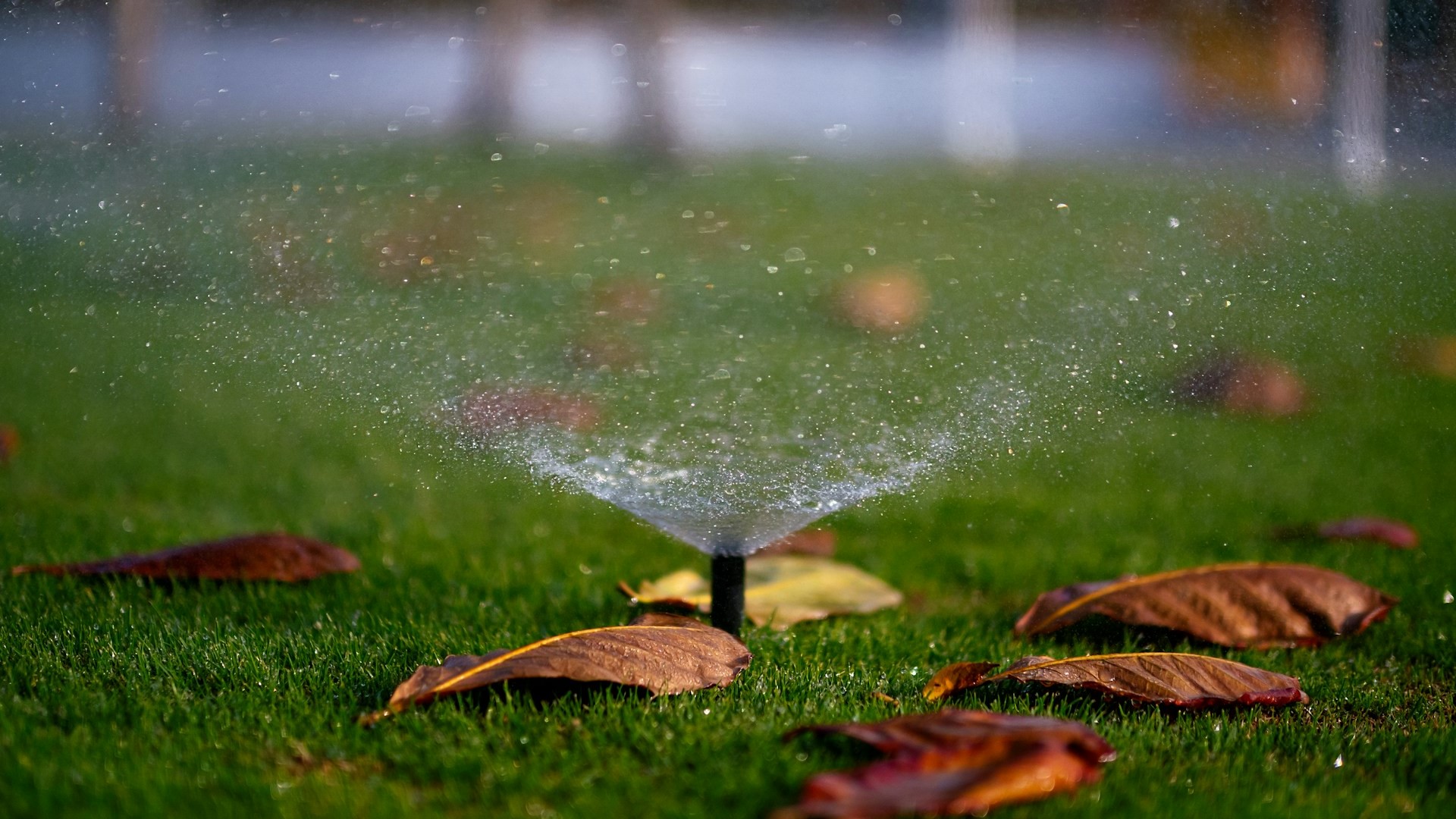 gardening sprinkler system 